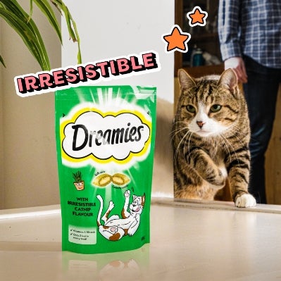 Catnip Flavour