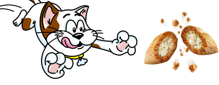 kibble and cat