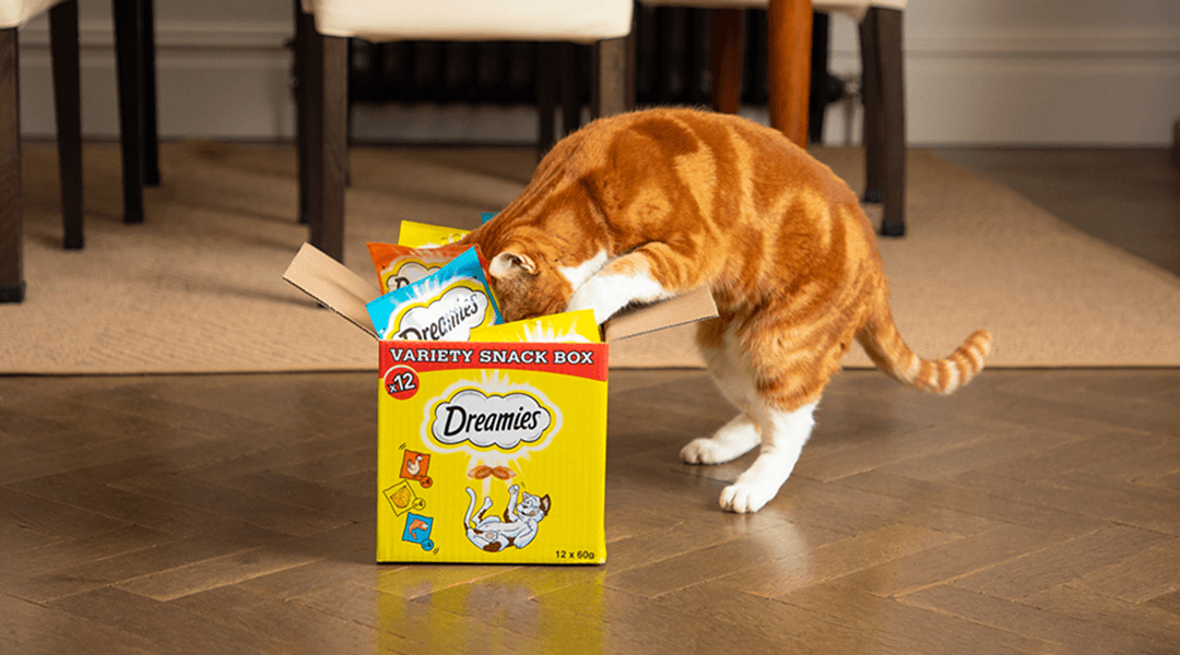 how can i decide which cat treats are best for my cat