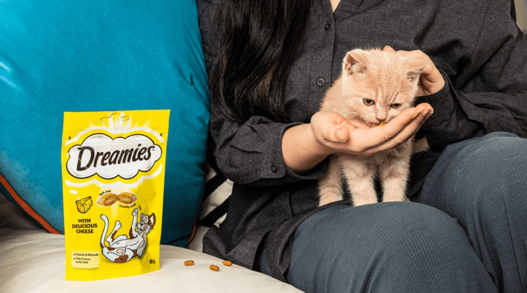 when and why should i give my cat treats