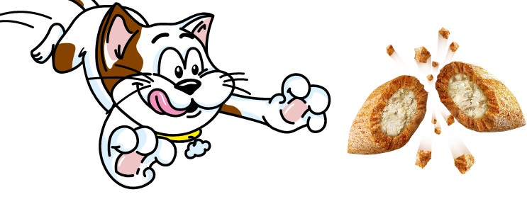 kibble and cat